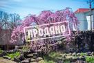 Элитный трехэтажный особняк