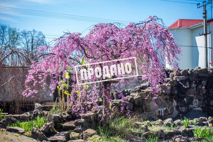 Элитный трехэтажный особняк №64