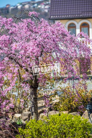 Элитный трехэтажный особняк №66