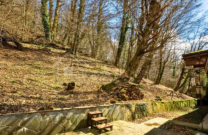 Шале в п. Красная Поляна №49