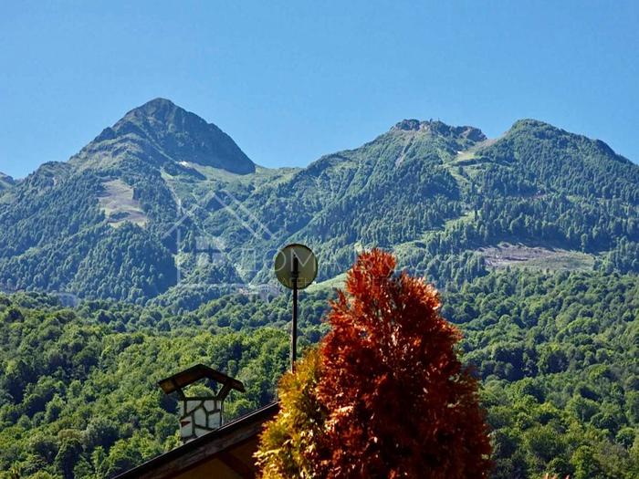 Шале на большом участке №17