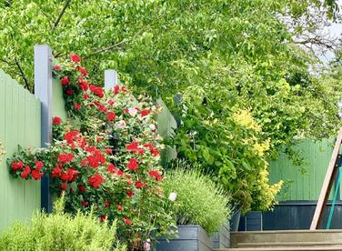 Шале в центре посёлка Красная Поляна №4