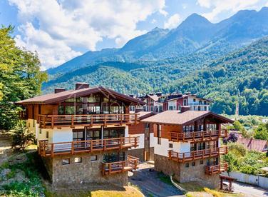 Шале с видом на горы №1