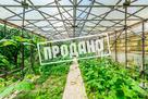 Коттедж в европейском стиле с видом на море