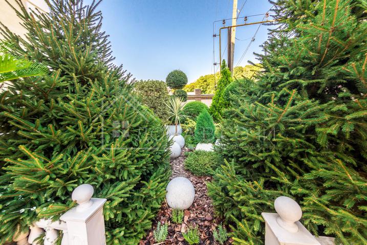 Особняк у Дендрария №16