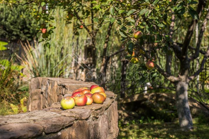 Красивый дом с парковой территорией №15