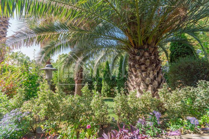 Вилла у моря напротив Парусного центра №8