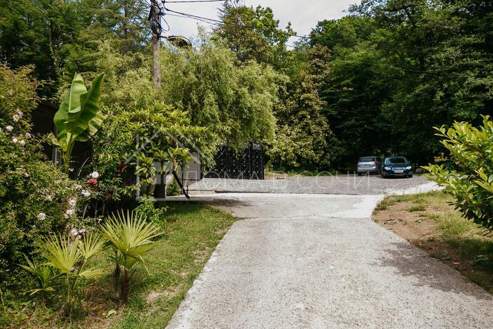 Усадьба на Мацесте №65