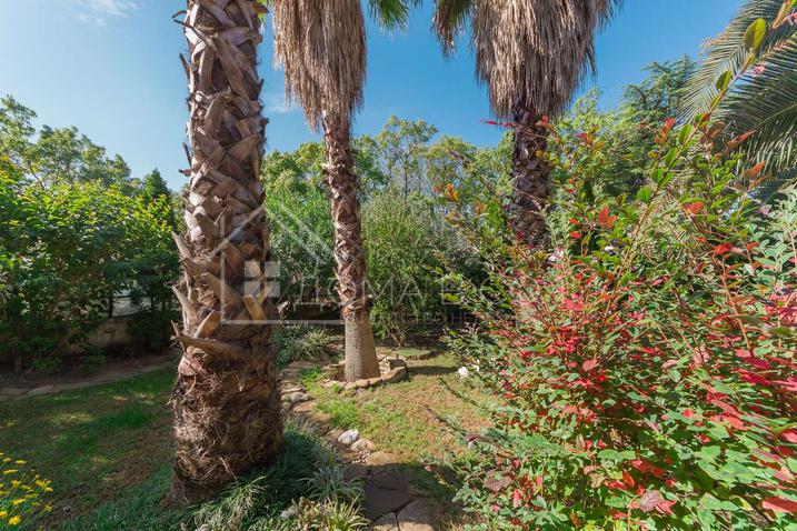 Вилла у моря напротив Парусного центра №9