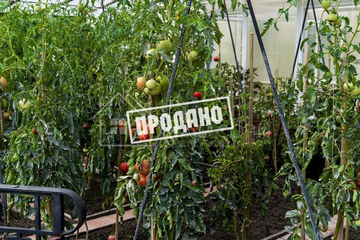 Резиденция в поселке премиум класса №70