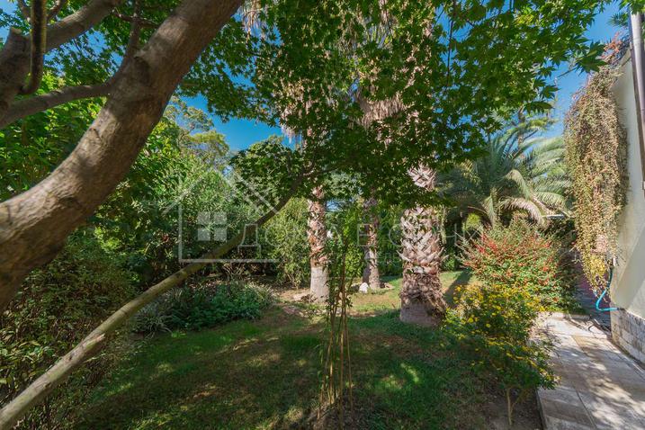 Вилла у моря напротив Парусного центра №10