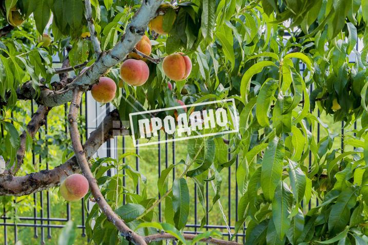 Резиденция в поселке премиум класса №55