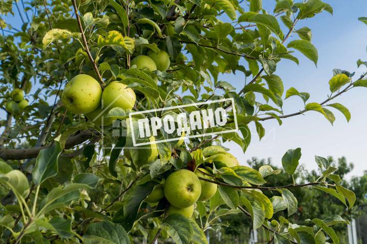 Резиденция в поселке премиум класса №52