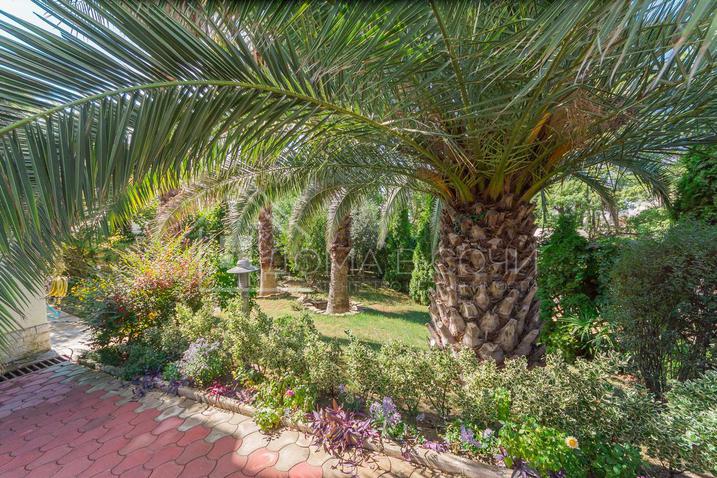 Вилла у моря напротив Парусного центра №31