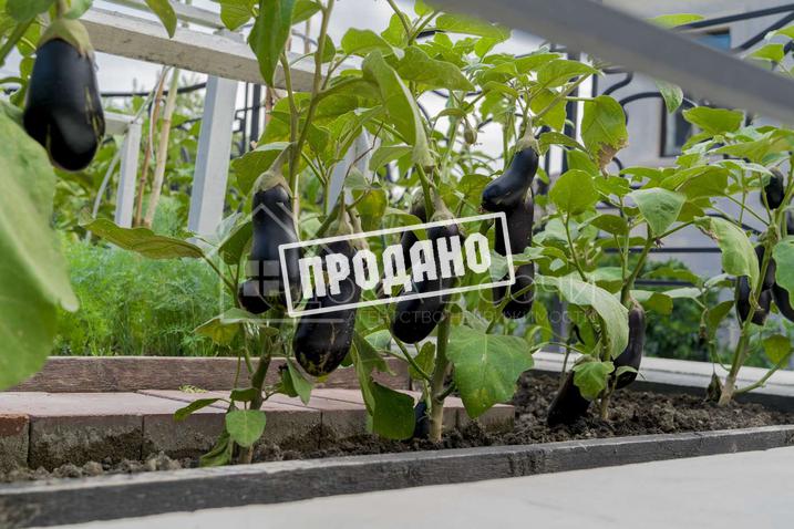 Резиденция в поселке премиум класса №75