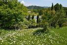 Вилла в средиземноморском стиле на 1,5 гектарах земли