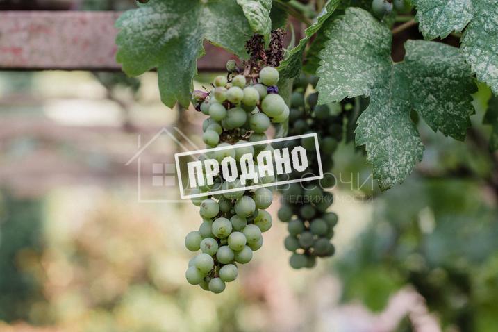 Вилла на 25 сотках в колониальном стиле №30