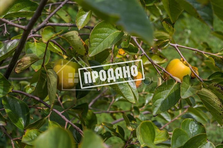 Коттедж в стиле фахверк на 34 сотках №43