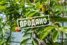 Коттедж в стиле фахверк на 34 сотках