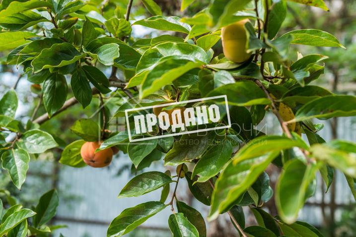 Коттедж в стиле фахверк на 34 сотках №33