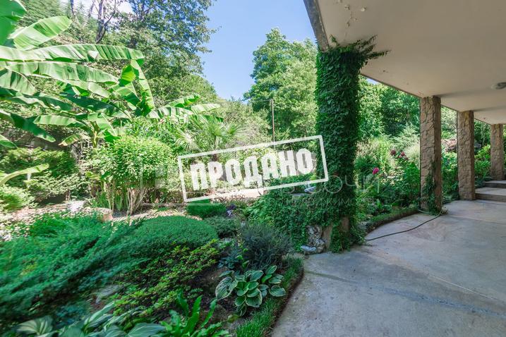 Дом в лесу №6