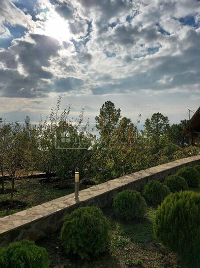 Усадьба в Хосте №8