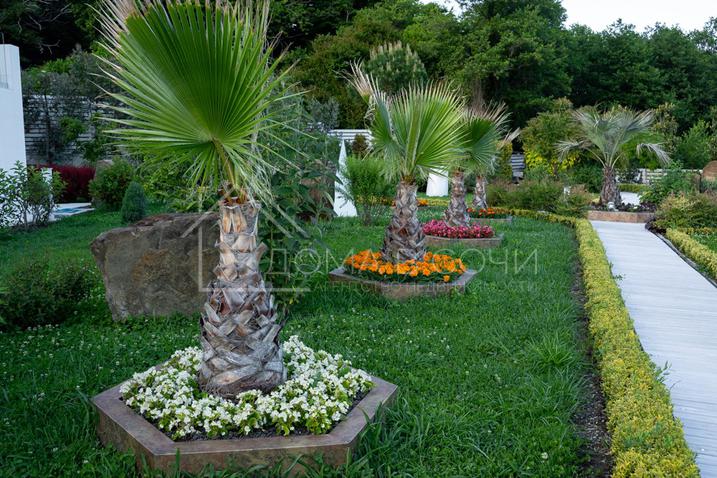 Дизайнерский особняк в горах Хосты №5