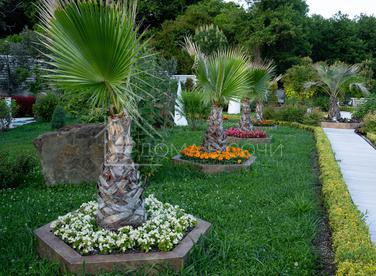 Дизайнерский особняк в горах Хосты №5