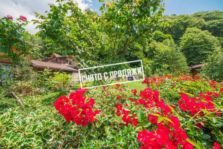 Усадьба в основании горы Ачишхо на Красной Поляне №12