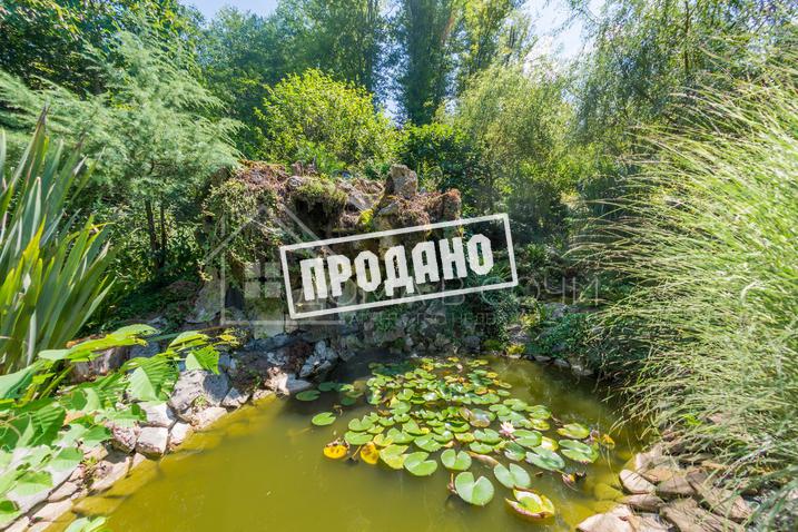 Дом в лесу №9