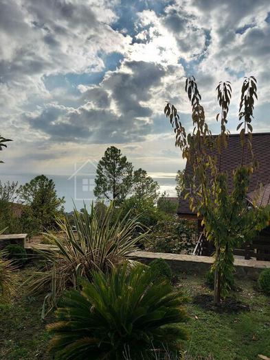 Усадьба в Хосте №6